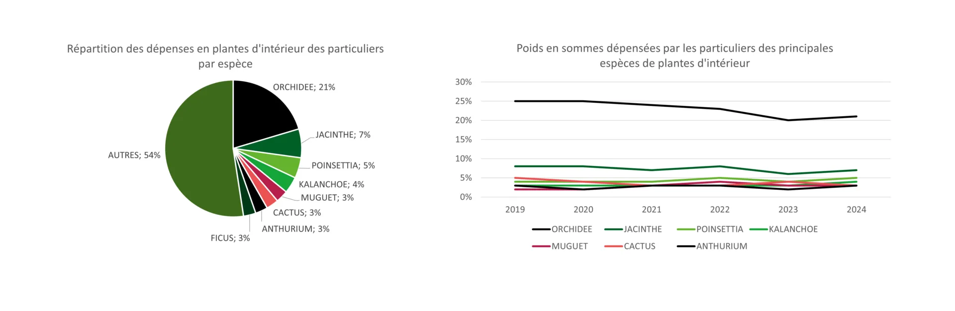 Graphiques dépenses en plantes d'intérieur en 2019 2024